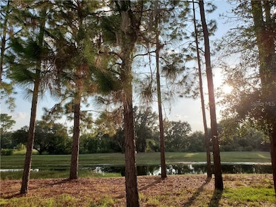 Las Colinas pond & fairway