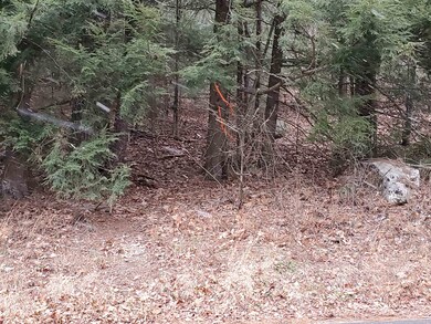 00 Scotland Rd, Winchester, NH 03470 - photo 6