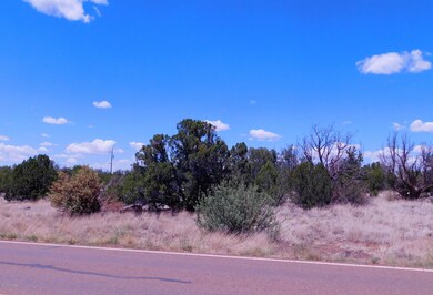 8336 Silver Creek Drive