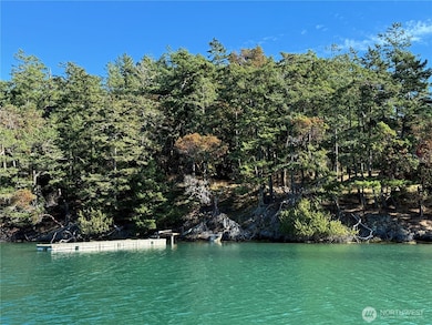 0 Lot 25 Henry Island unit NWM2446457, Friday Harbor, WA 98250 - photo 7