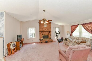 Large Bright Living Room with Vaulted Ceiling
