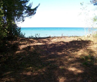 Clearing to Lake Huron
