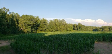 0 N Carolina 87 unit 60025, Pittsboro, NC 27312 - photo 4