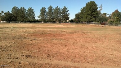 lot pic