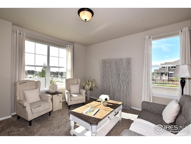 2447 Dandelion Ln, Johnstown, CO 80534 - photo 3