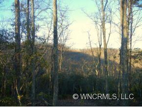 85 Smokey Ridge Trail unit 193, Arden, NC 28704 - photo 7