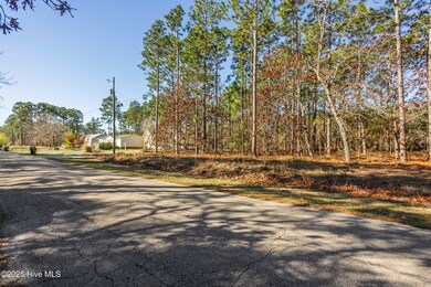 Cherokee Dr L-103, Boiling Spring Lakes