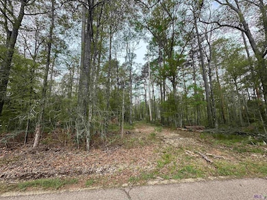 TBD Tyler Ballard Rd, Walker, LA 70785 - photo 7