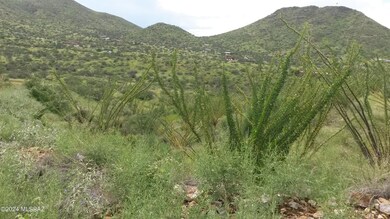 0 Goodenough Trail unit Lot 9 22525009, Vail, AZ 85641 - photo 4