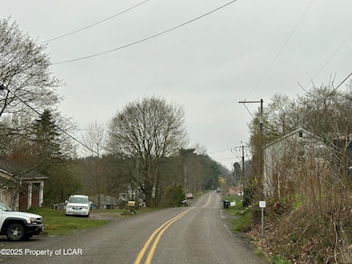 0 Pond Hill Mountain Rd unit 25-171, Wapwallopen, PA 18660 - photo 4