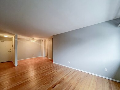 736 W Buena Ave unit 402, Chicago, IL 60613 - photo 3