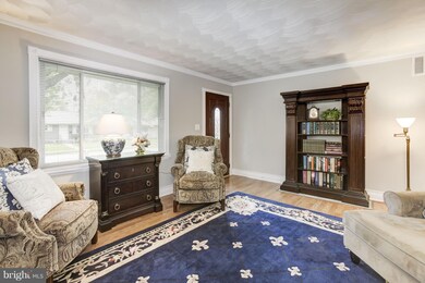 1016 7th St, Laurel, MD 20707 - photo 6