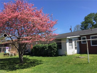 What a beautiful pink Dogwood tree in your level f