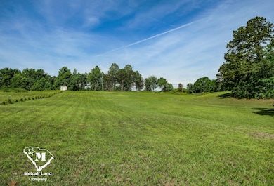 0 Redland Rd unit 23403171, Campobello, SC 29322 - photo 6