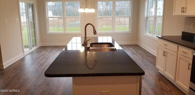 1001 Grouper Run, New Bern, NC 28562 - photo 5