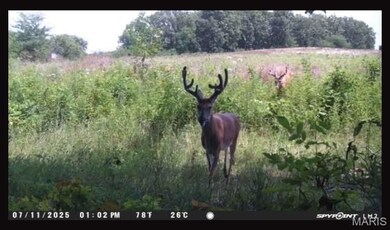 0 Knox Rd, Marceline, MO 64658 - photo 5
