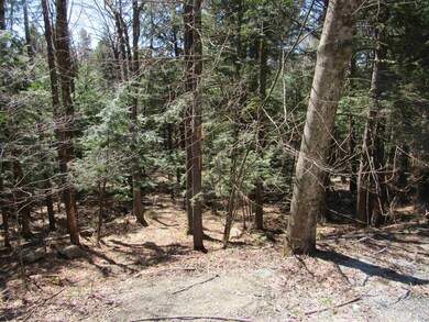 0 Stratton View Rd unit 26, Winhall, VT 05340 - photo 5