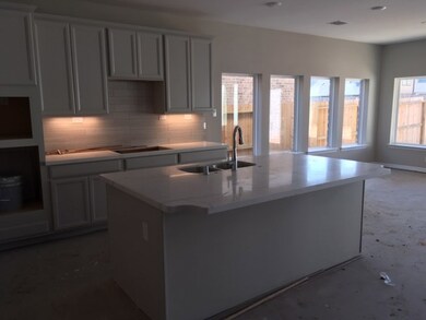 3426 Cabernet Shores Dr, Fulshear, TX 77441 - photo 6