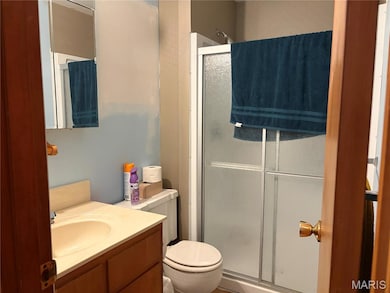 701 S Benton St, Cape Girardeau, MO 63703 - photo 7