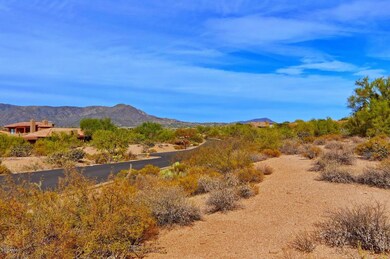 38200 N 99th Way Scottsdale AZ-large-003