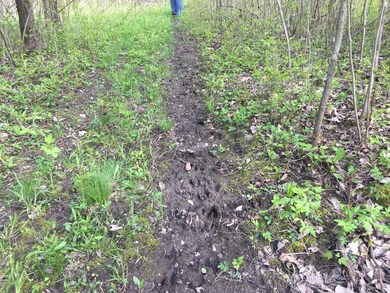 019 Center Deer Trail