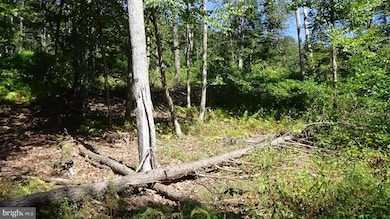 0 Veterans Way unit PAPY2008088, Elliottsburg, PA 17024 - photo 6