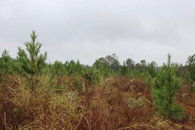 0 Poll Mill Rd, Tazewell, GA 31803 - photo 4