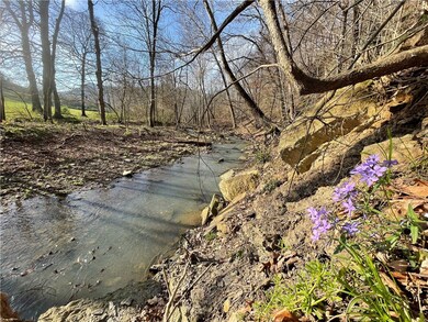 157 Acres Hazel Valley Rd, Fayetteville, AR 72701 - photo 3