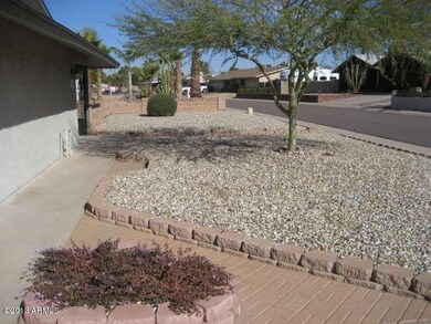 Low Maintenance Front Yard