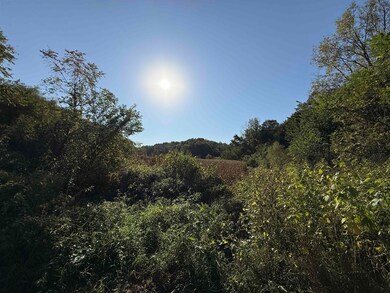 27 Ac. Dougherty Creek Rd, Argyle, WI 53504 - photo 6