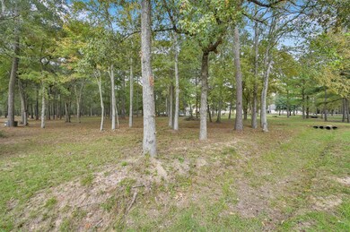38242 Windy Ridge, Magnolia, TX 77355 - photo 4