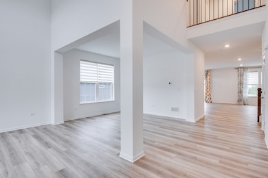 205 Tinana St, Oswego, IL 60543 - photo 5