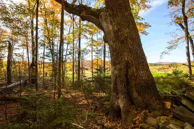 00 Holden Hill Rd unit Lot B, Weston, VT 05161 - photo 3