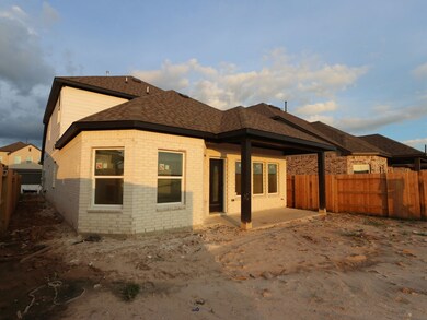 Back Exterior