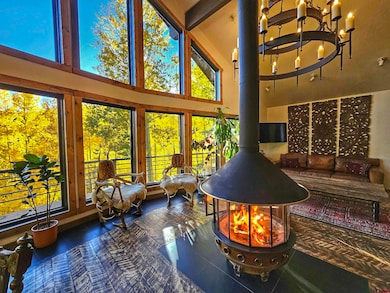 214 Mill, Rico, CO 81332 - photo 3