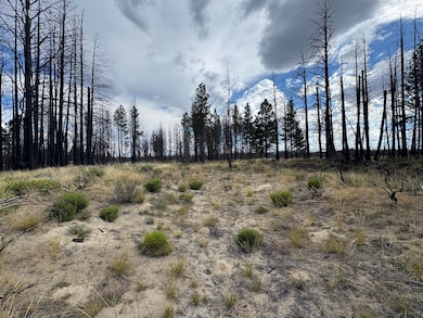 0 Shasta Fir Ln unit 9 220206679, Beatty, OR 97621 - photo 4