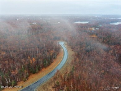 L3 B1 N Sandburg Dr, North Lakes, AK 99654 - photo 4