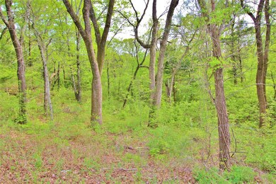 Lot 1 Lakecrest Dr, Pottsboro, TX 75076 - photo 5