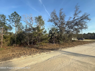 Couralan_Road_3
