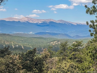 12853 S Wamblee Valley Rd, Conifer, CO 80433 - photo 2