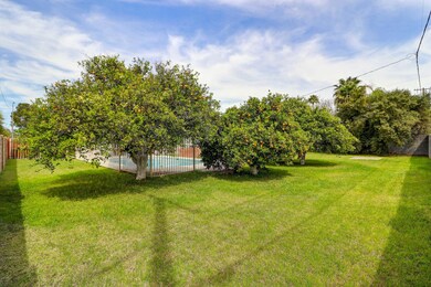 Backyard Park!