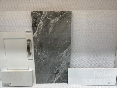 Design Selections. Home is under construction, selections are subject to change.