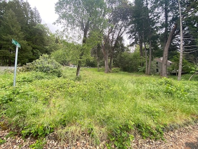 352 Tree Top Ln, Willow Creek, CA 95573 - photo 5