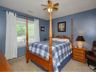 7 Apple Blossom Ln, Hendersonville, NC 28792 - photo 5