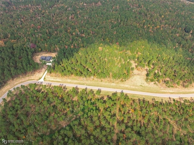 214 Millwood Loop unit 45, Minden, LA 71055 - photo 7