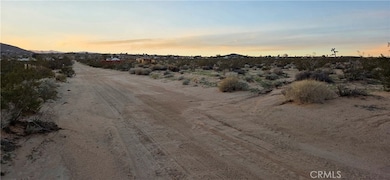 0 Campanula St unit JT25267927, Joshua Tree, CA 92252 - photo 5
