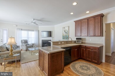 19 Frankenberry Dr unit 127, Georgetown, DE 19947 - photo 4