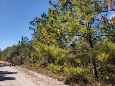 0 County Line Rd unit 18882882, Lee, FL 32059 - photo 7