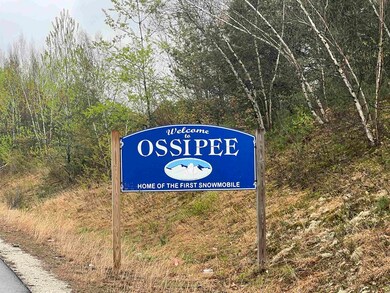 Map 202 Lot 1 New Hampshire 25, Center Ossipee, NH 03814 - photo 4