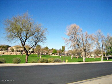 View of Park